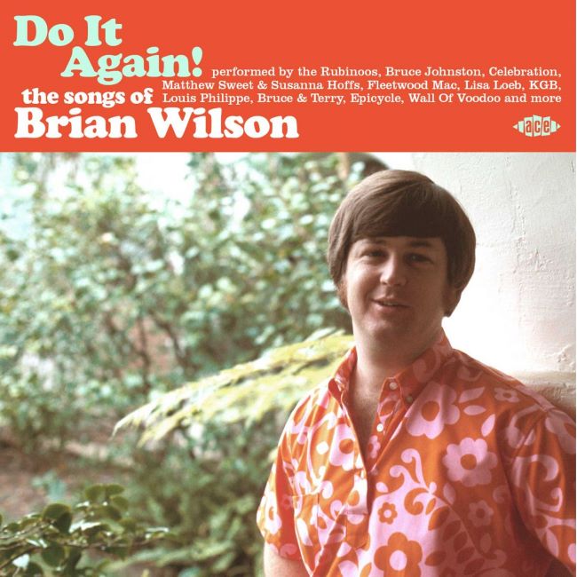 V.A. - Do It Again! The Songs Of Brian Wilson